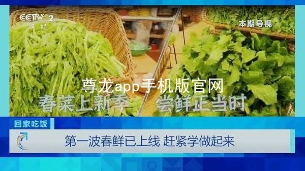 尊龙app手机版官网