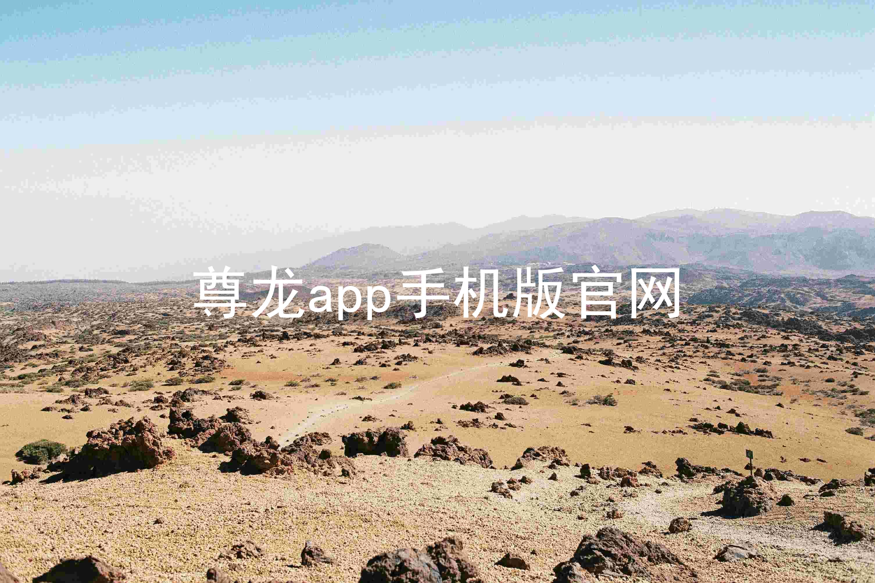 尊龙app手机版官网