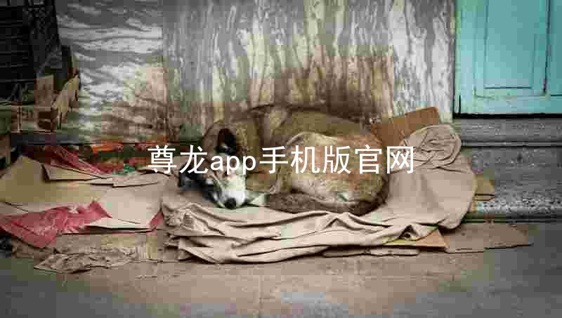 尊龙app手机版官网