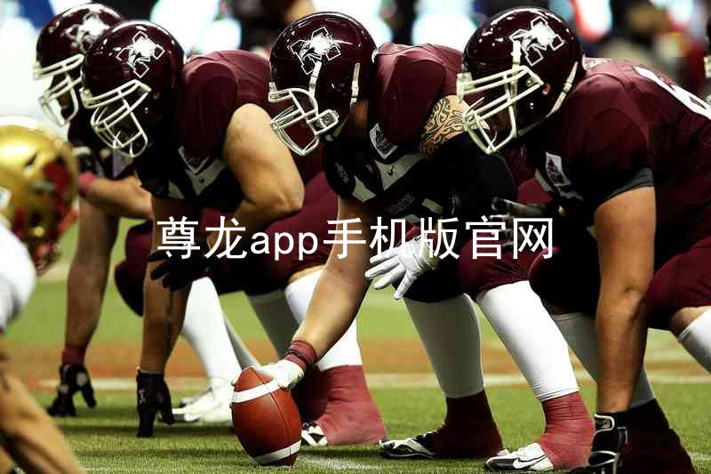 尊龙app手机版官网