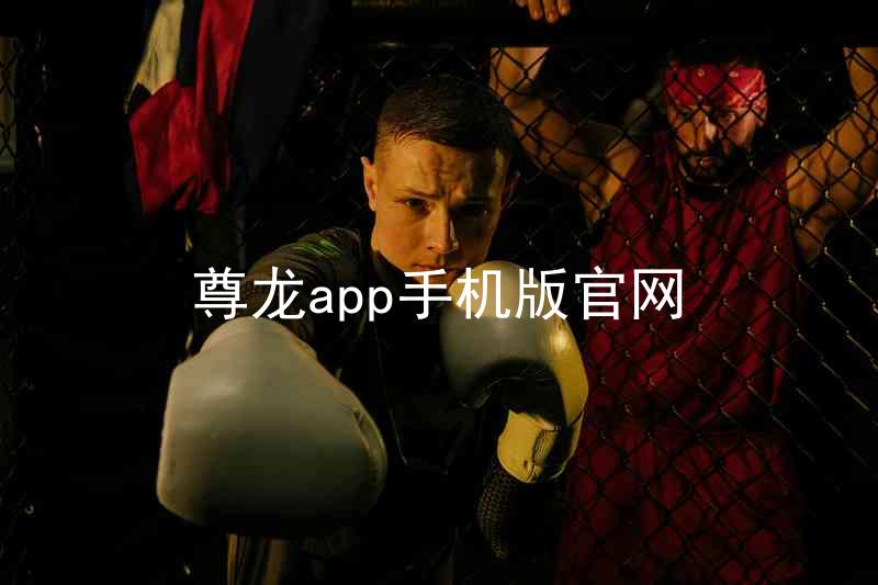 尊龙app手机版官网