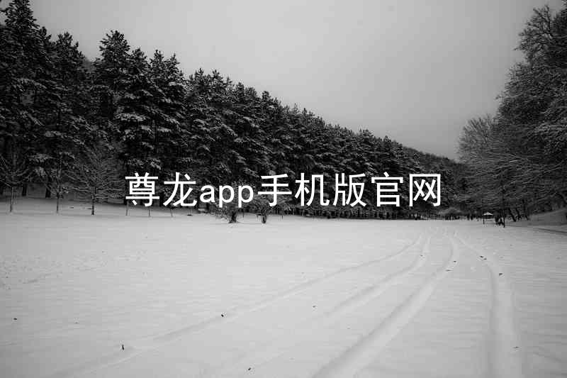 尊龙app手机版官网