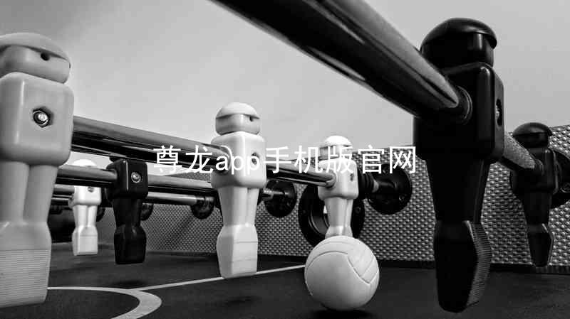尊龙app手机版官网